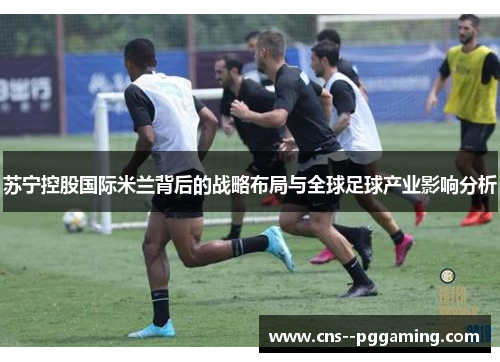 苏宁控股国际米兰背后的战略布局与全球足球产业影响分析