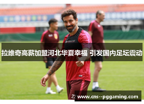 拉维奇高薪加盟河北华夏幸福 引发国内足坛震动