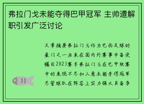 弗拉门戈未能夺得巴甲冠军 主帅遭解职引发广泛讨论 弗拉门戈未能夺得巴甲冠军 主帅遭解职引发广泛讨论